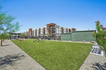 Oversized dog park with pet-friendly community design